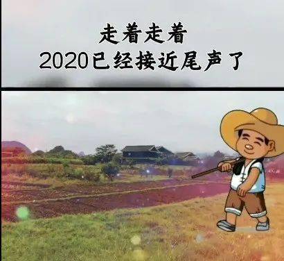 走着走着2020已经接近尾声了