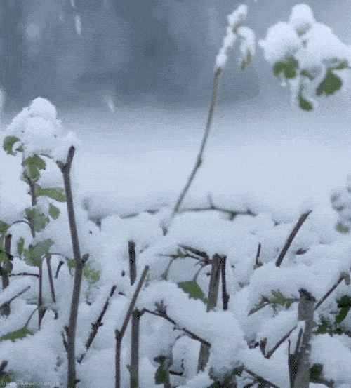 降温下雪这份提醒请收好