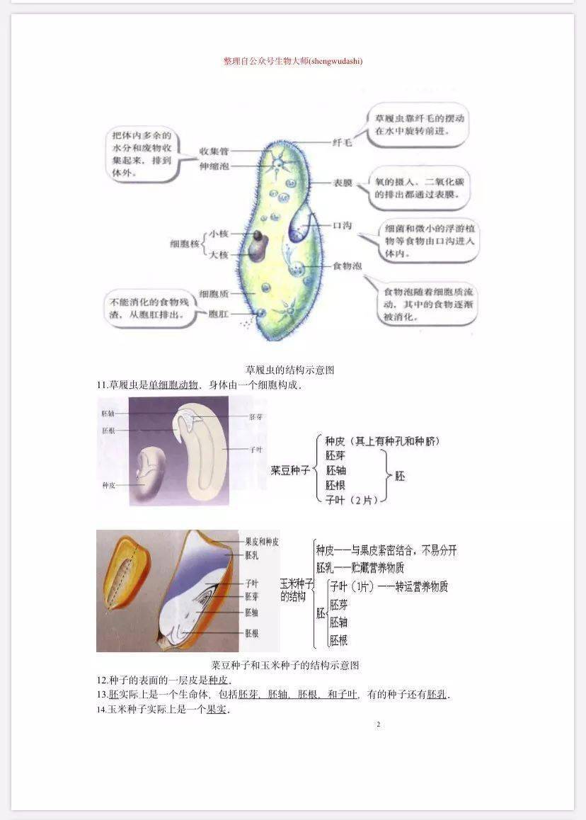 初中生物:重点识图题解析,高清全彩可下载!