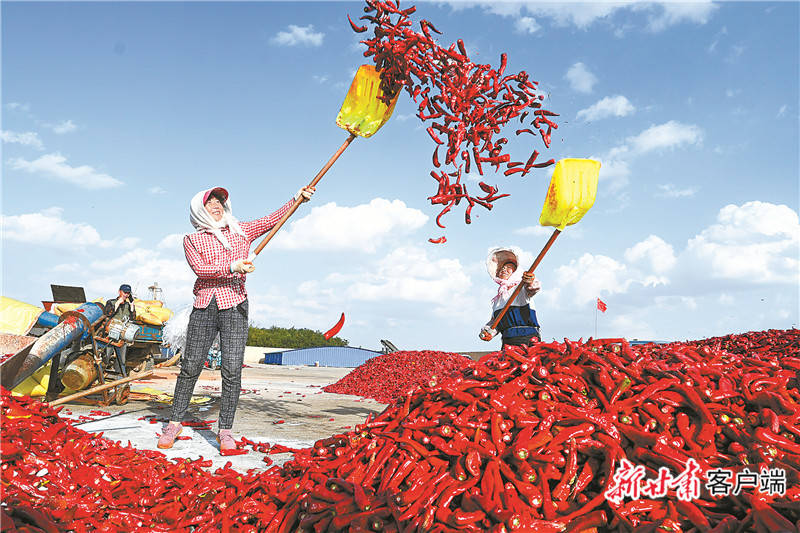 2020年甘肃省十强医-资讯搜索_甘肃日报社评出2020甘肃十大新闻