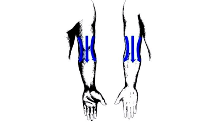 87fd209c4705464589a2b4ff60949474.png