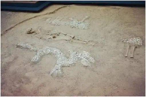 辽太祖射死一真龙?近代河南发现6千年前古墓,专家:古代真有龙