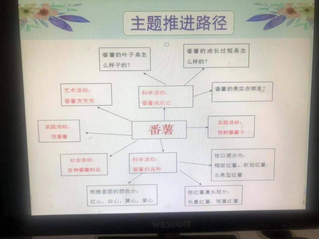 全苗5,6班《有趣的镜子》此课程来自于孩子们日常生活中最常见的物品