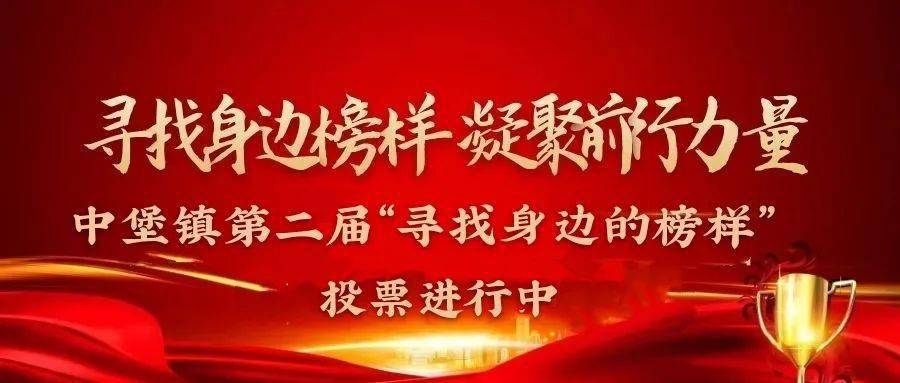 榜样不遥远 他们就在身边 中堡镇第二届"寻找身边的榜样"评先活动