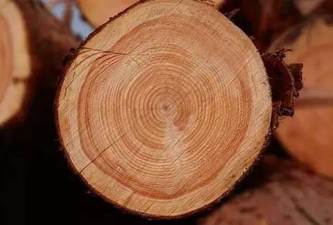 超全！ 实木家具常用的14种木材图解！赛博体育(图7)