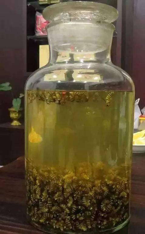 梅州人用这些浸酒,难怪身体那么好!快看看你喝过几种?