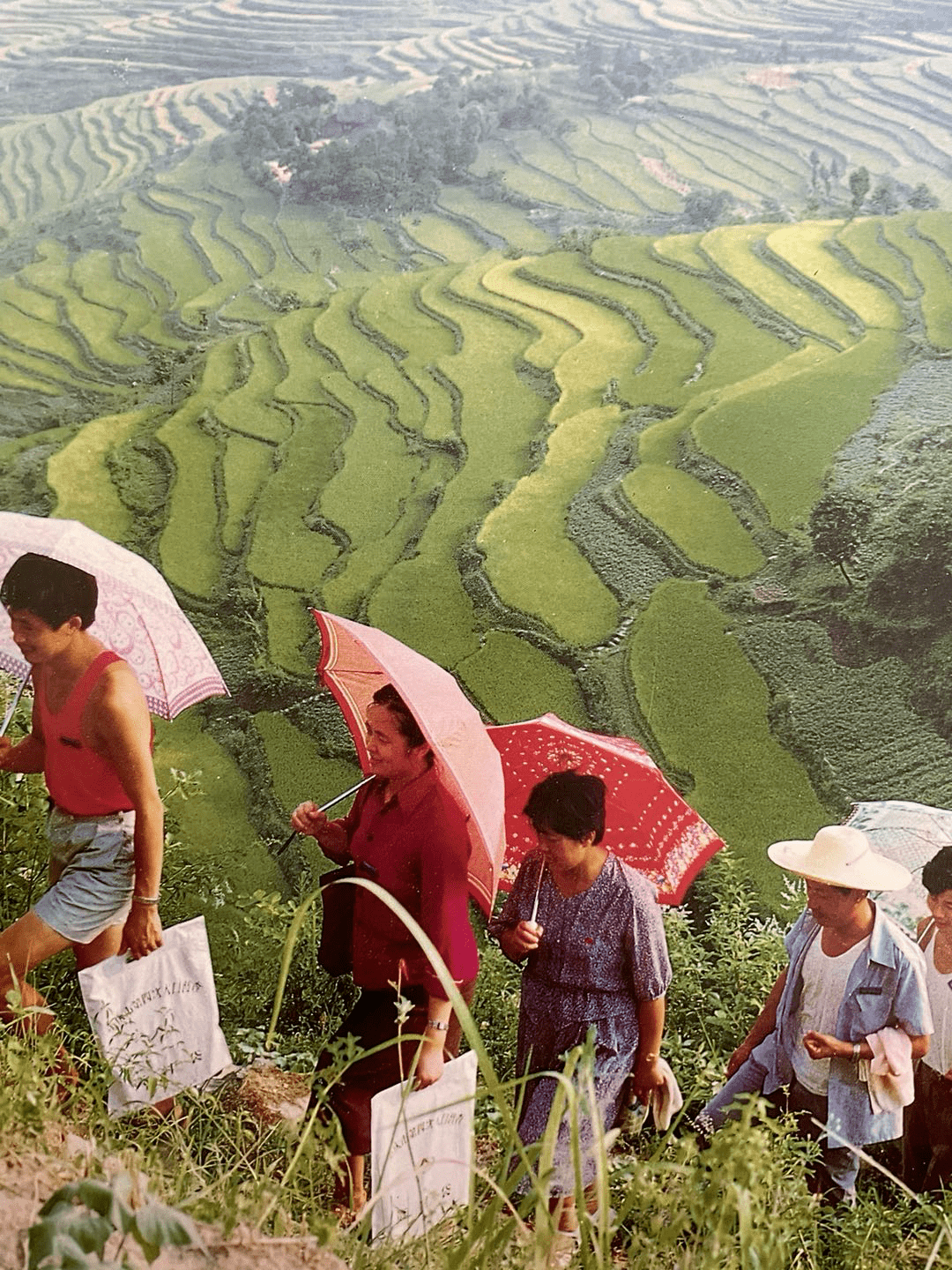 九零后在人口普查_人口普查