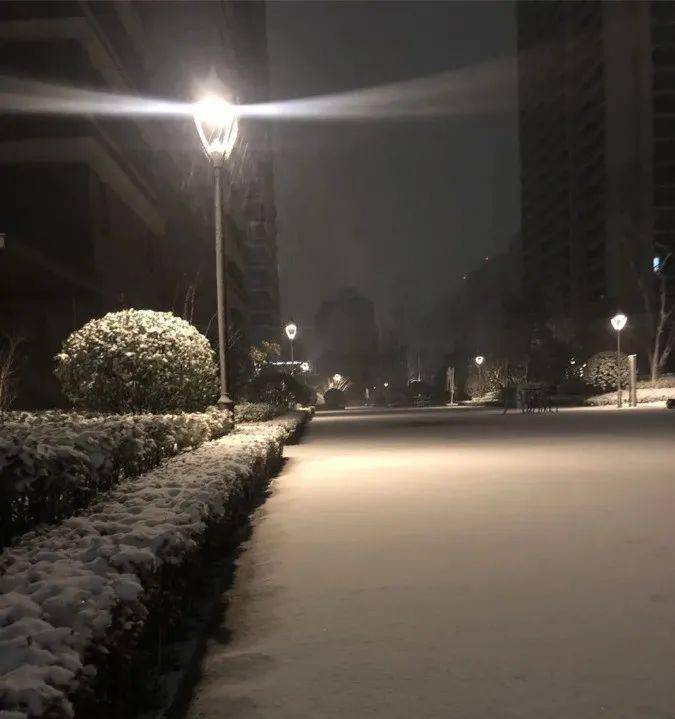 高唐九百六昨夜多地下雪高唐的雪还会远吗