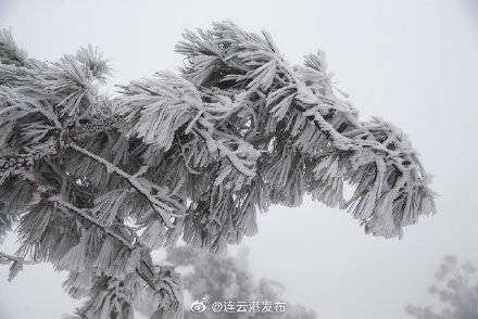 银装素裹！爱了爱了