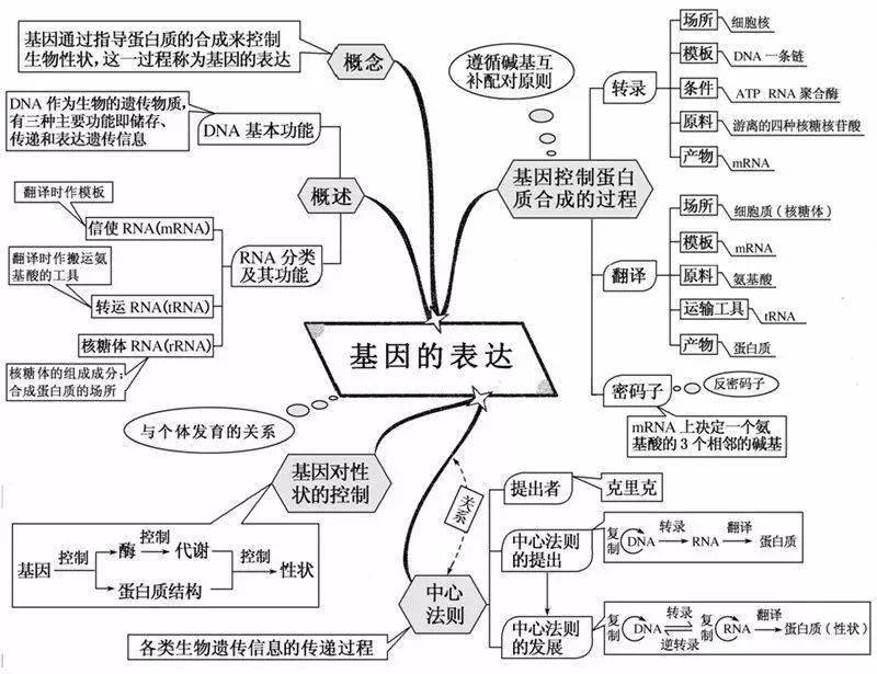 超全整理!20张生物思维导图最全版本