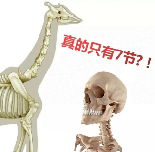 一个人脖子上有颗绿色珠子猜成语_一个人的图片孤独图片(2)