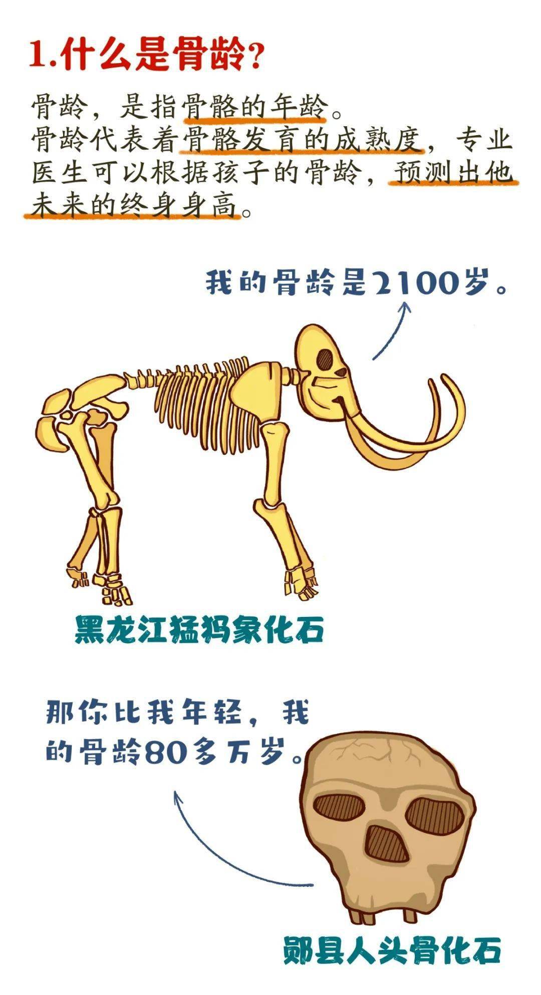 骨龄提前2年怎么办