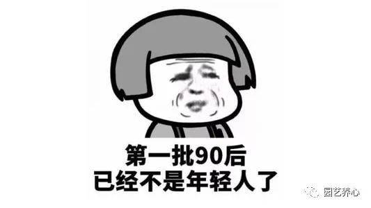 928bb85cb8f7447389037f1dc24146b9.jpeg
