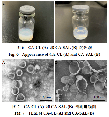 唾液酸修饰绿原酸脂质体制备及其体外抗肿瘤活性研究