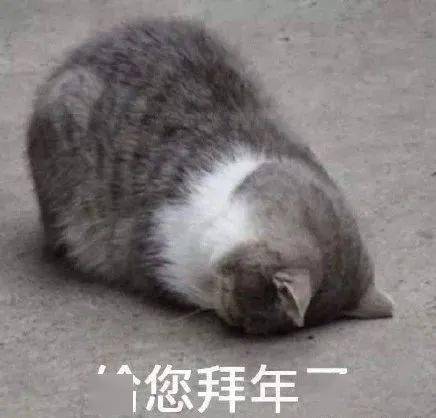3b01ff71f42240cb9cc233e6a1f2b165.jpeg