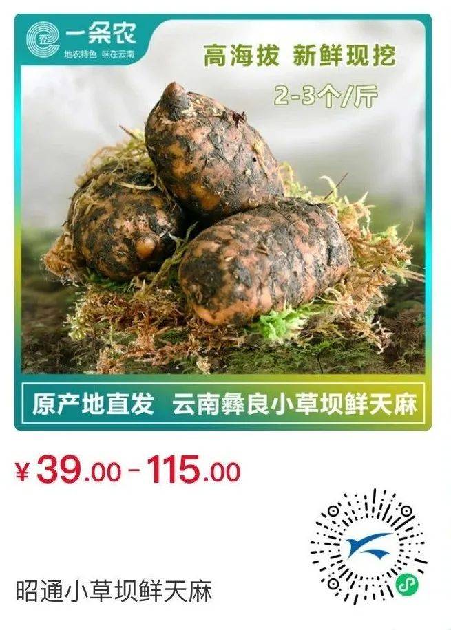 冬季食材新鲜 588612be593e42ddbaf3cd323de4593d.jpeg