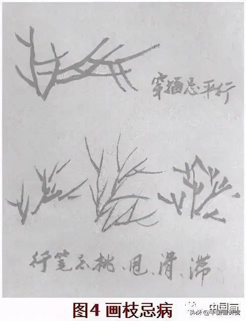 成语枝什么根_成语故事简笔画(5)