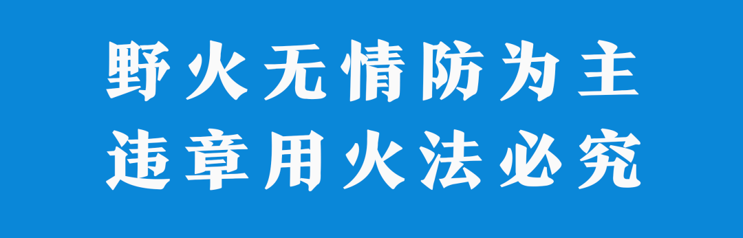 四川省人民政府发布2021年森林和草原防火命令