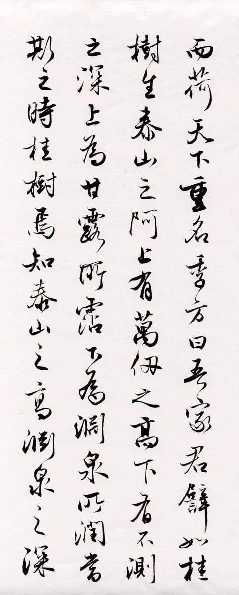 陈国昭小行书作品