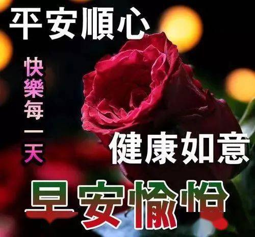 中老年表情包,惜缘就是福,满满的祝福送给你!