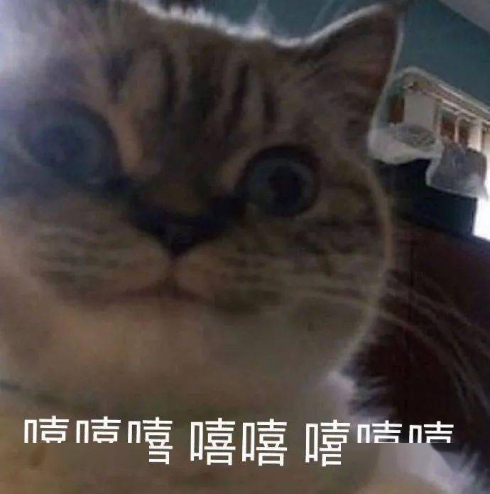 沙雕表情 | 小狗勾的坏心眼可多着呢