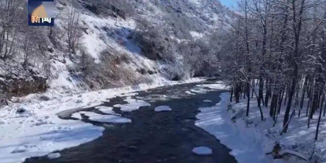 极限排行榜_-52.3℃!黑龙江漠河夺极限低温排行榜冠军