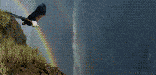 【云帆诗会】2021年第01期 || 总第446期