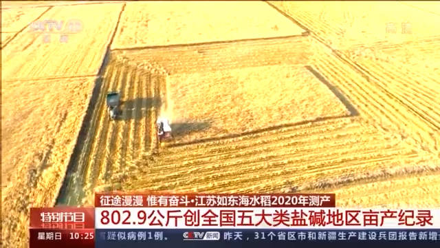 技术推广|嫦娥五号“乘客”水稻种子已经发！芽！了！