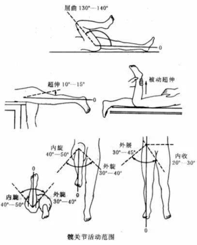 髋关节查体_试验