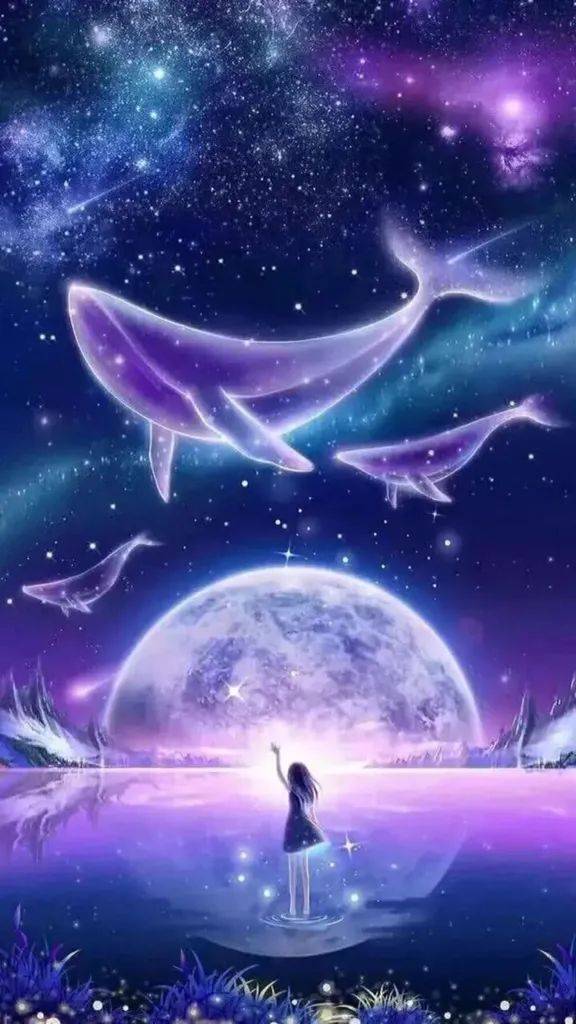 人生最美,不过鲸落,愿化身为孤岛的鲸,生于海,归于海,长于海,隐于海