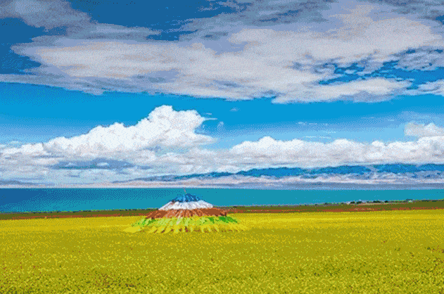 1月24日出发 | 青海湖环境保护义工项目