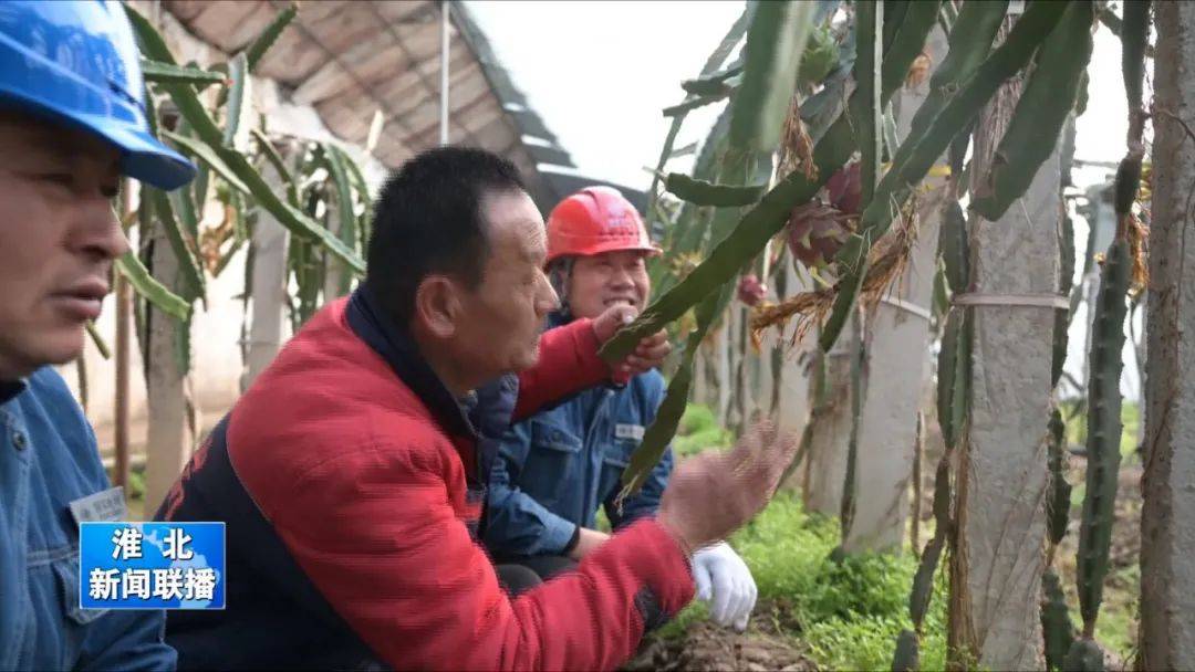 人口四疏_一家四口卡通头像