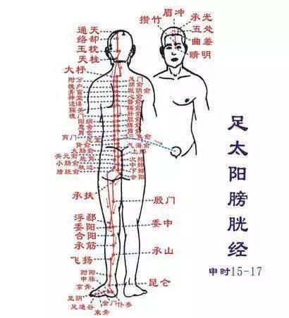 de583e0eb2eb4601a187c8504369dc24.jpeg
