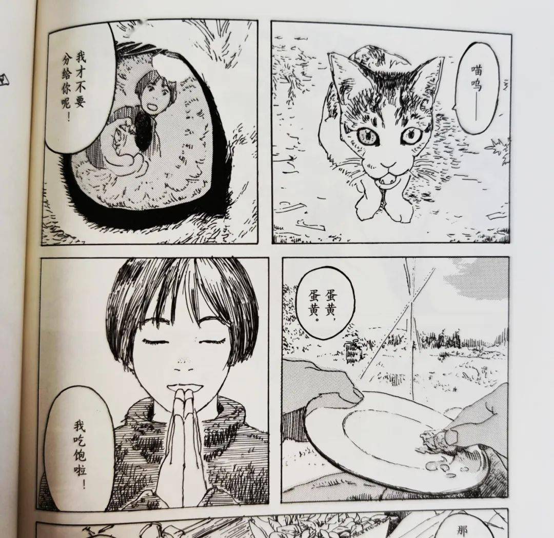 获得了日本漫画家协会优秀赏,并于去年由studio 4°c改编为同名动画