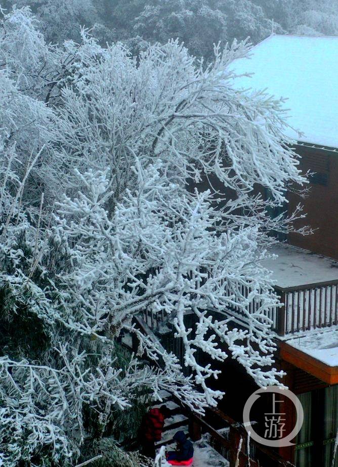 神奇金佛山 雪后现奇观