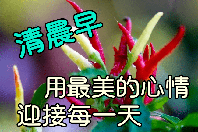 2021年1月4日最漂亮元旦节动态表情图片大全,元旦节动