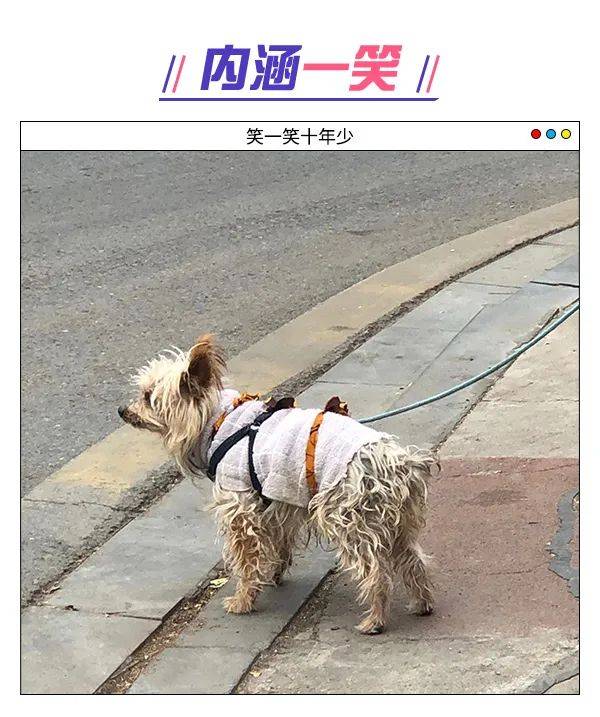人民吐槽日报丨你是交友软件上的哪类人？