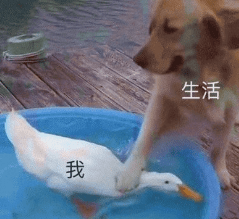 50edafe5d74c4de6952bd95439e2658c.png