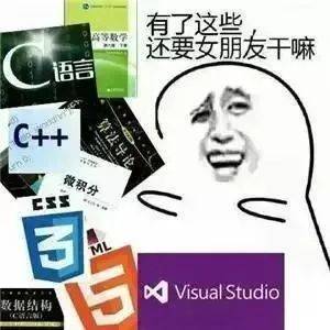 他们不仅要学vb,c,c  ,c#,java,sql等各种语言,还要兼修高等数学