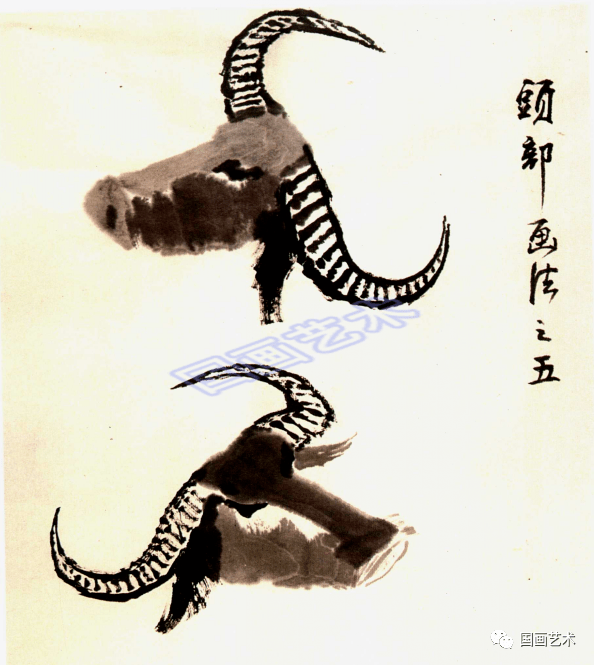 3.连厾带勾画出牛角,眼