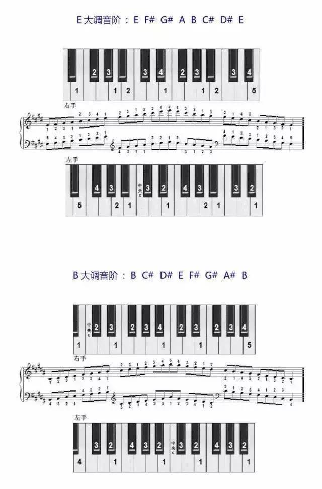 音阶怎么练?看看这份指法图!