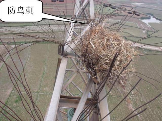 鸟害威胁电网安全,感应电压方法可有效驱鸟