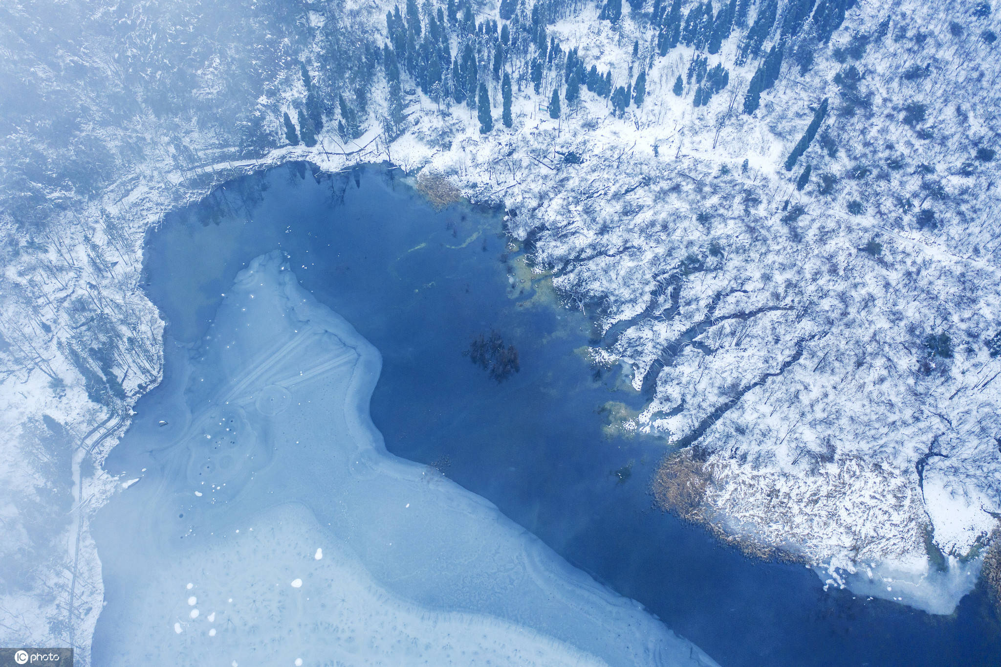 四川都江堰:龙池国家森林公园云雾缭绕 白雪皑皑