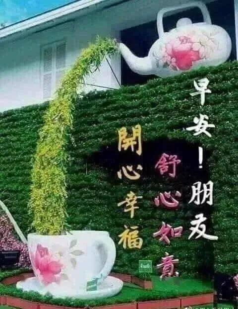 大家早上好:顺心如意,健康快乐每一天!