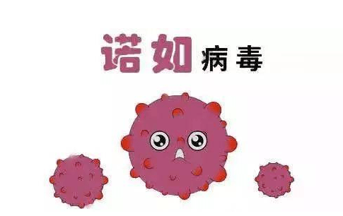 aa553c8b74be40d497c91218863702bf.png