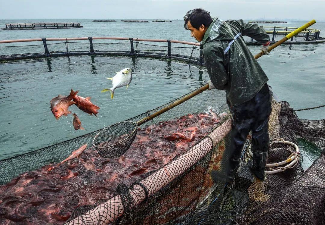 湛江渔民搏浪实录!