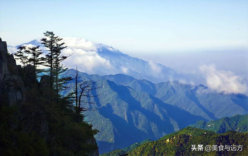 青山藏灵秀苍松映岫巅太岳山十大景区养在深闺人未识