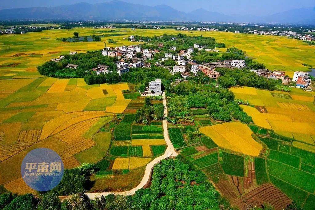 平南县2021总人口_2021年的平南县中学(2)