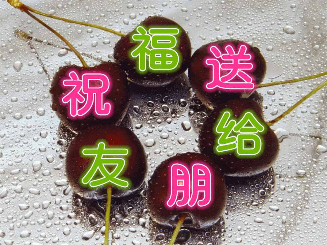 早上好问候美图,早安问候语句._祝福