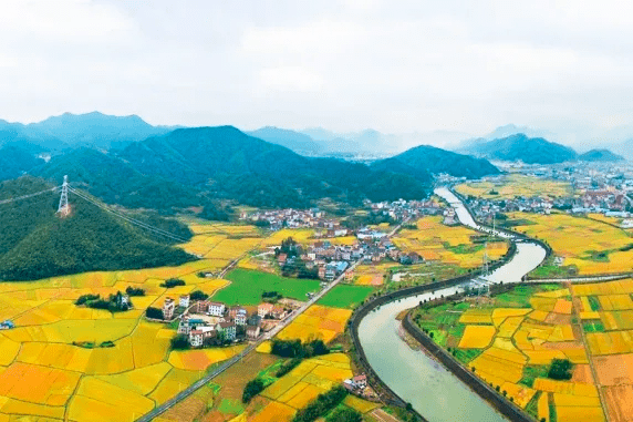 孟家坞村人口_汕头市澄海区各镇街人口一览:四个镇街超十万人,最低为两万多